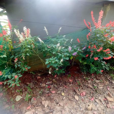 Munnar Home Stay Teadrops Plantation Villa Dış mekan fotoğraf