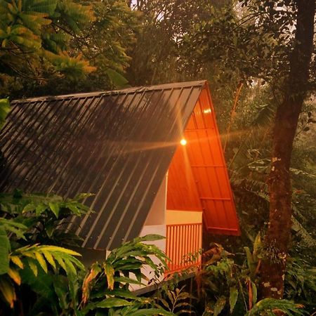 Munnar Home Stay Teadrops Plantation Villa Dış mekan fotoğraf