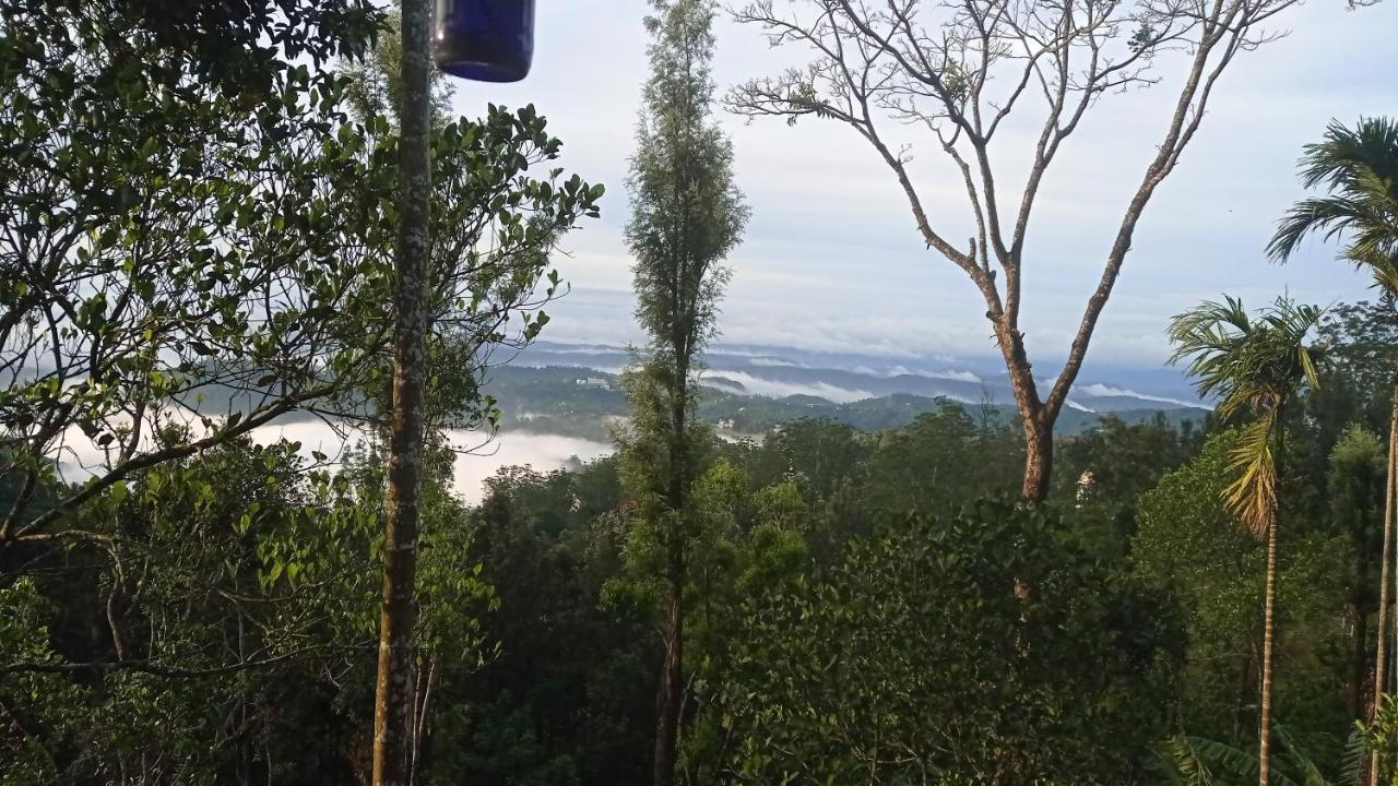 Munnar Home Stay Teadrops Plantation Villa Dış mekan fotoğraf