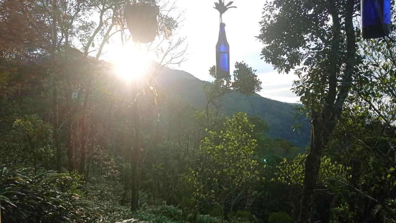 Munnar Home Stay Teadrops Plantation Villa Dış mekan fotoğraf