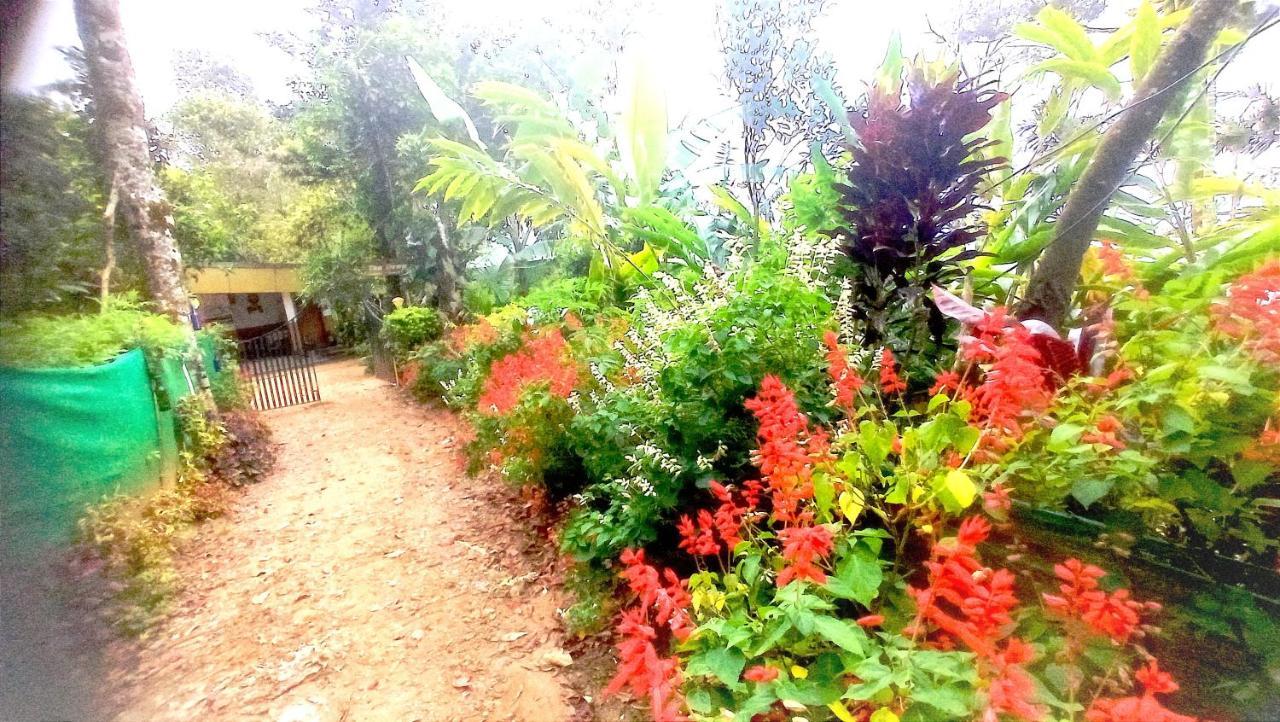 Munnar Home Stay Teadrops Plantation Villa Dış mekan fotoğraf