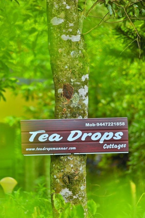 Munnar Home Stay Teadrops Plantation Villa Dış mekan fotoğraf
