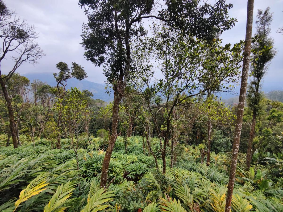 Munnar Home Stay Teadrops Plantation Villa Dış mekan fotoğraf