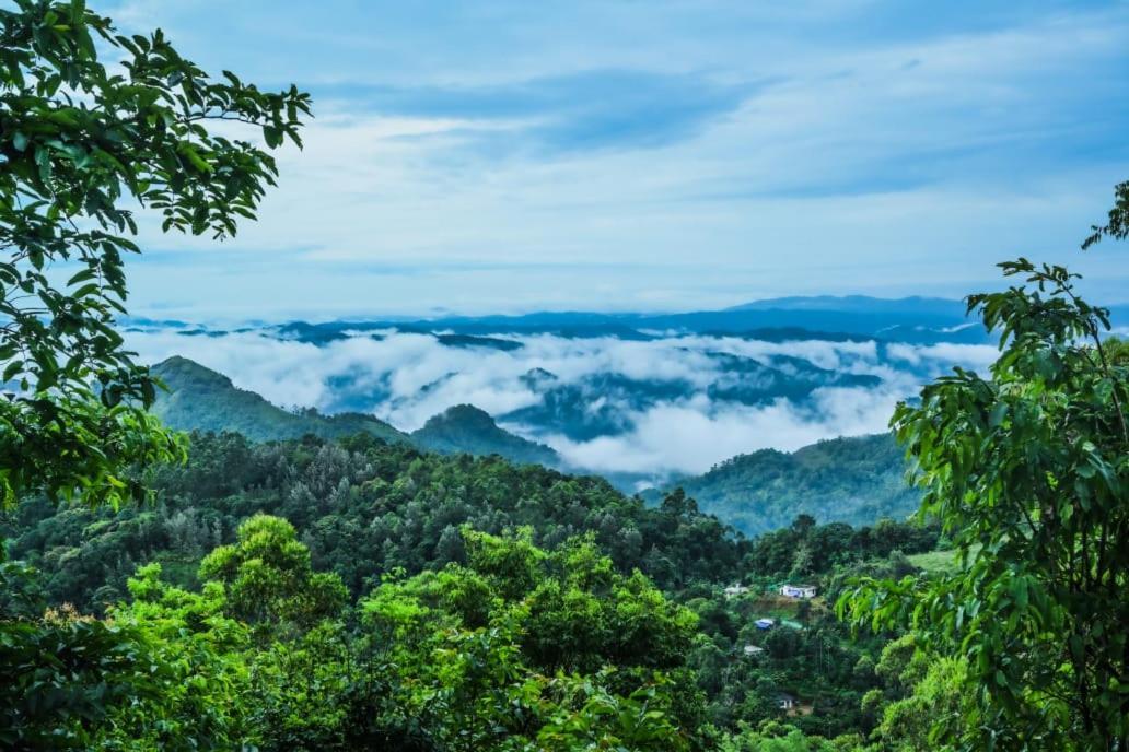 Munnar Home Stay Teadrops Plantation Villa Dış mekan fotoğraf