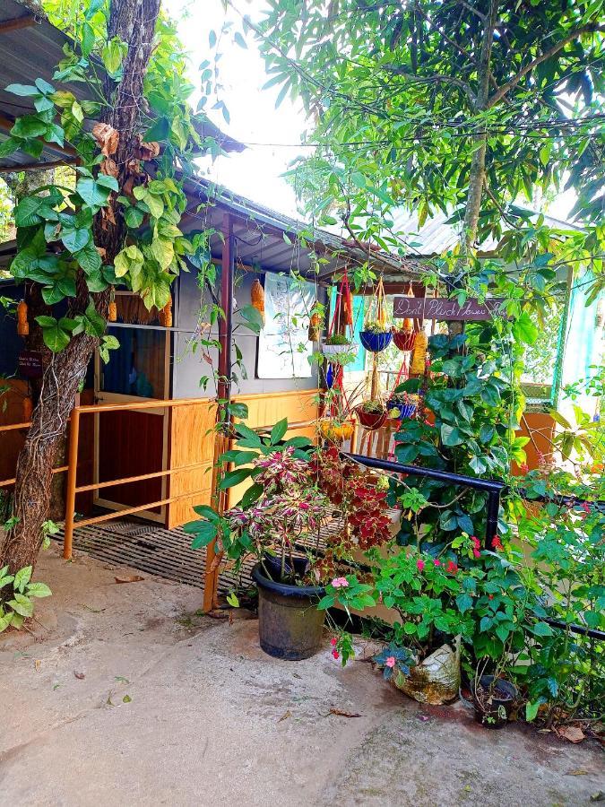 Munnar Home Stay Teadrops Plantation Villa Dış mekan fotoğraf