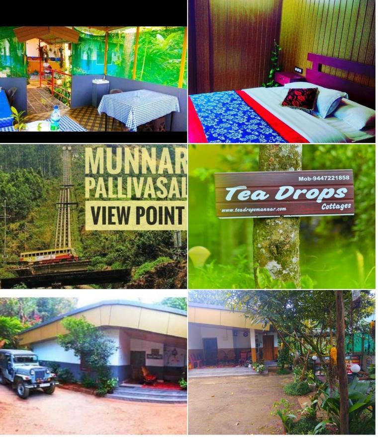 Munnar Home Stay Teadrops Plantation Villa Dış mekan fotoğraf