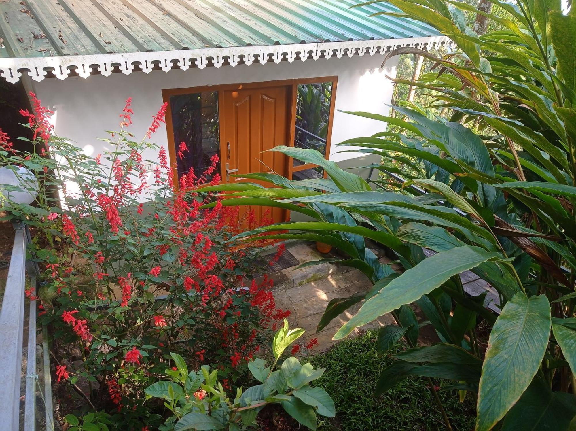 Munnar Home Stay Teadrops Plantation Villa Dış mekan fotoğraf