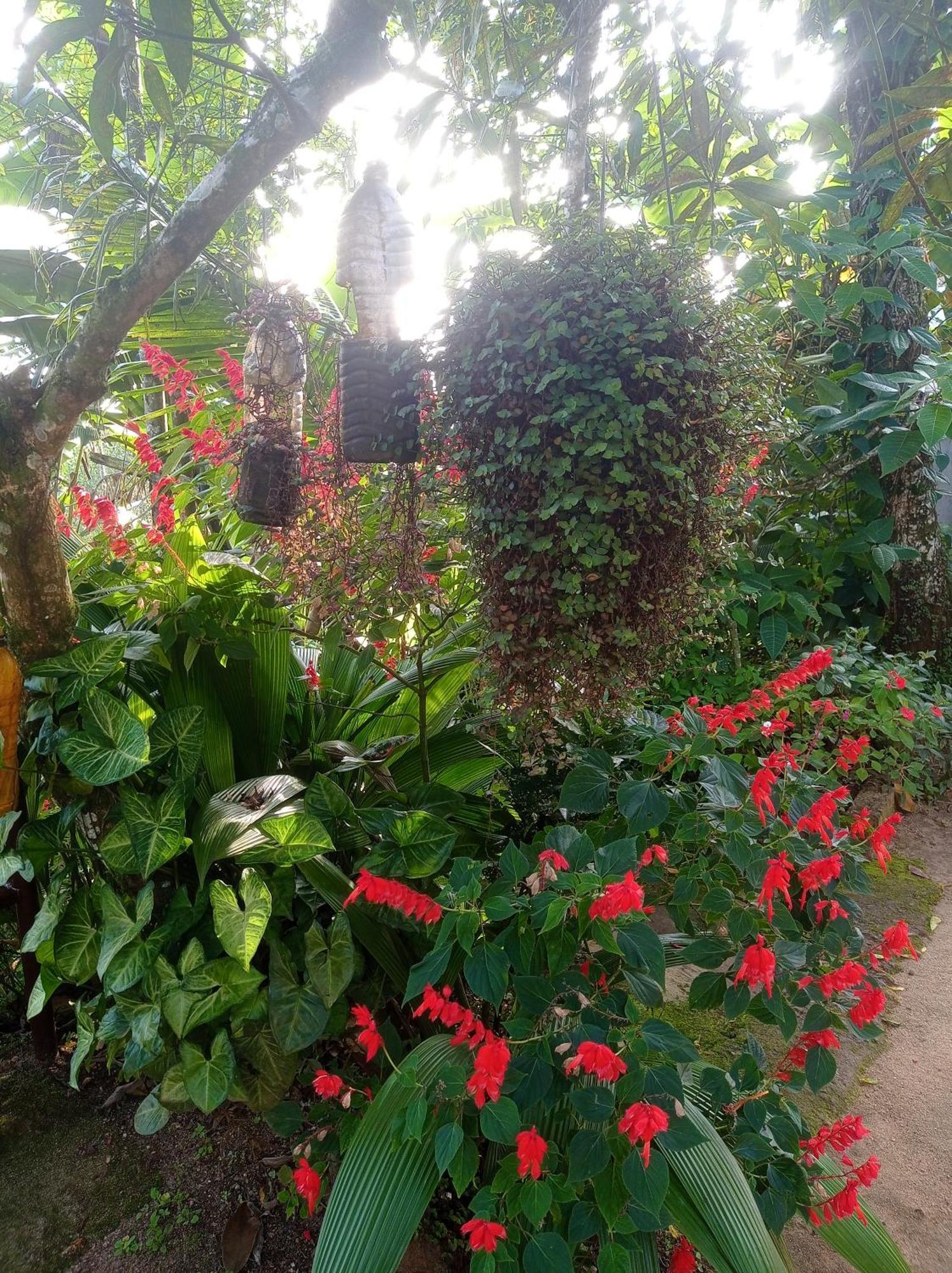 Munnar Home Stay Teadrops Plantation Villa Dış mekan fotoğraf