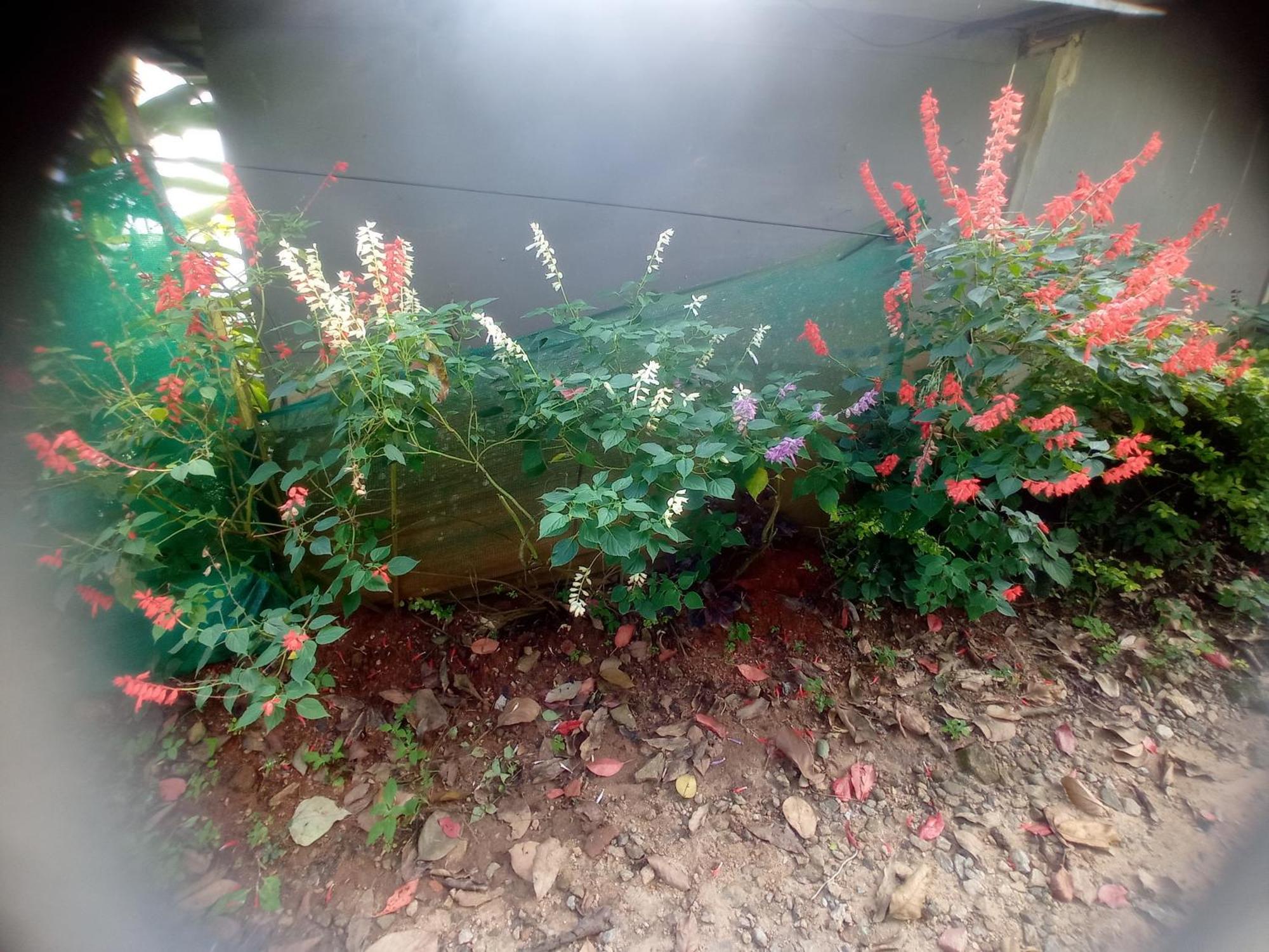 Munnar Home Stay Teadrops Plantation Villa Dış mekan fotoğraf