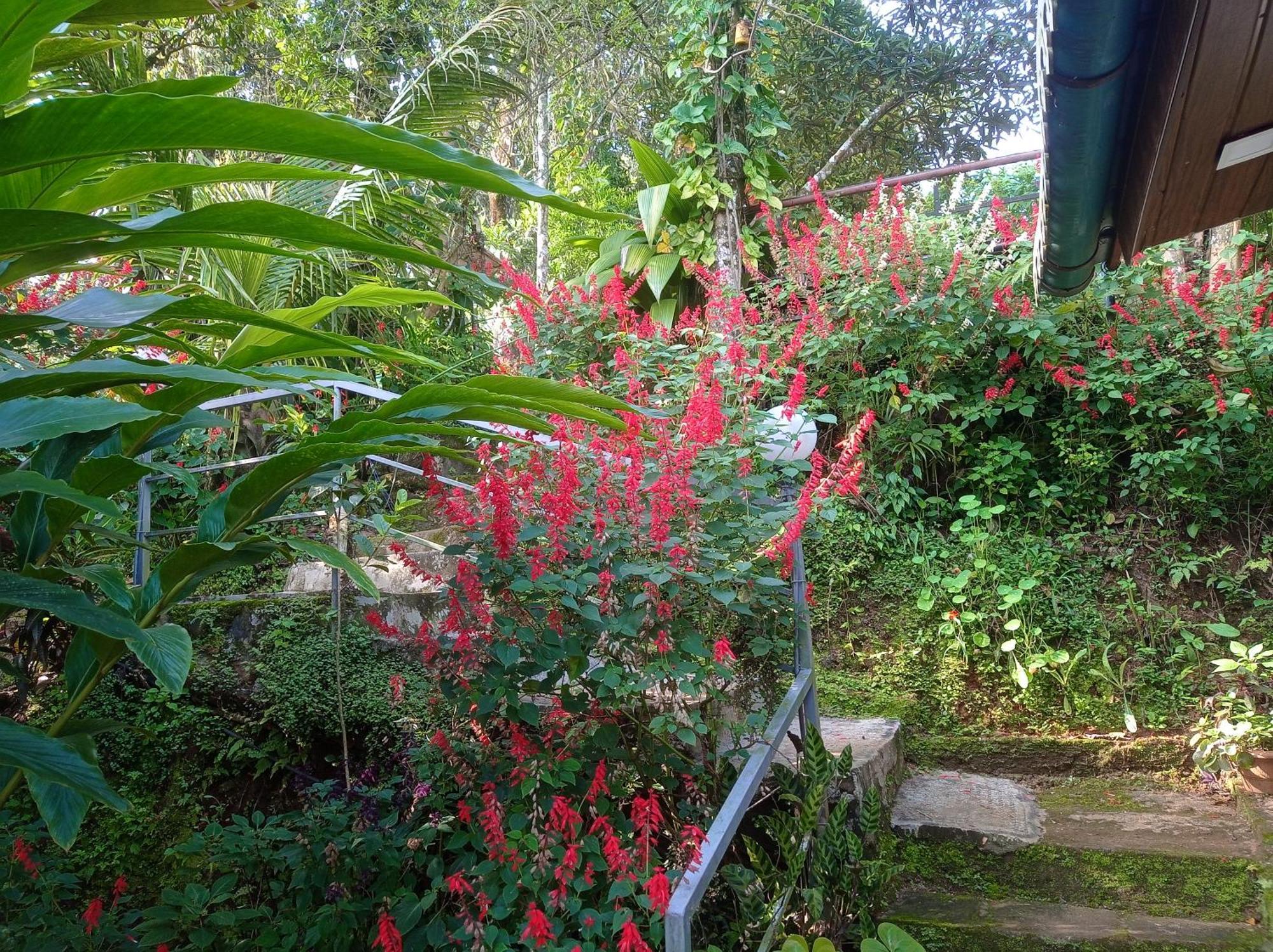 Munnar Home Stay Teadrops Plantation Villa Dış mekan fotoğraf
