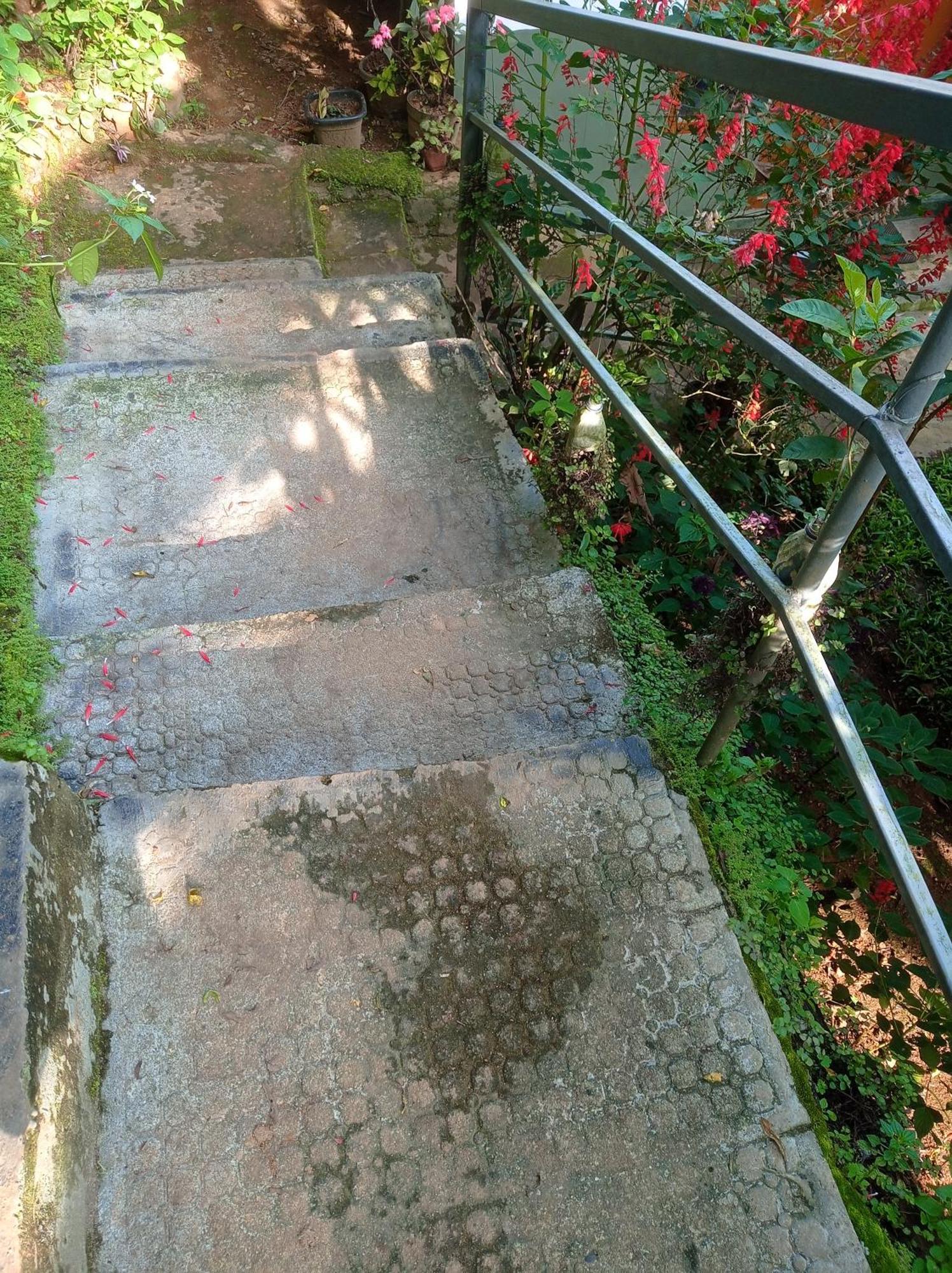 Munnar Home Stay Teadrops Plantation Villa Dış mekan fotoğraf