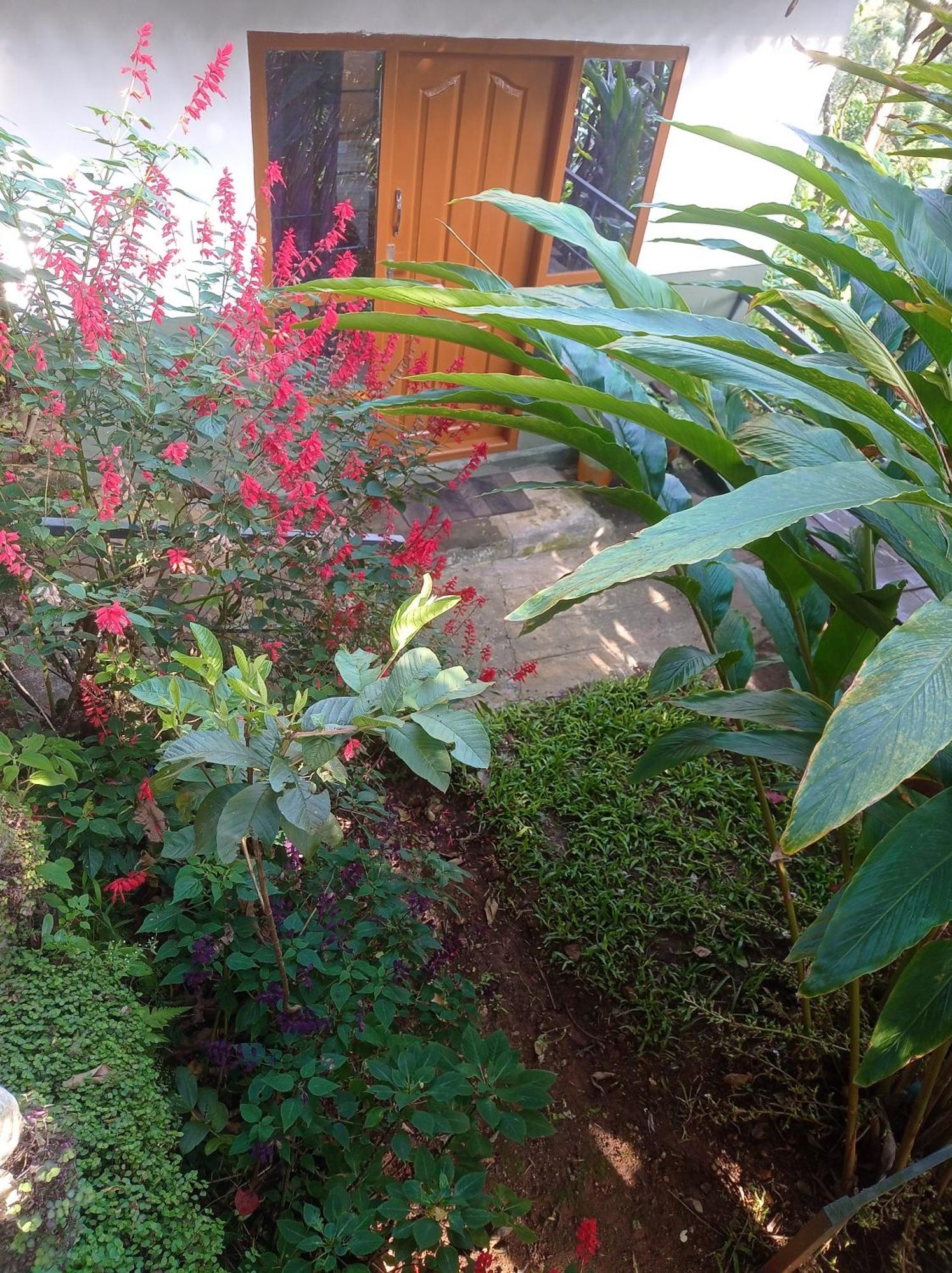 Munnar Home Stay Teadrops Plantation Villa Dış mekan fotoğraf