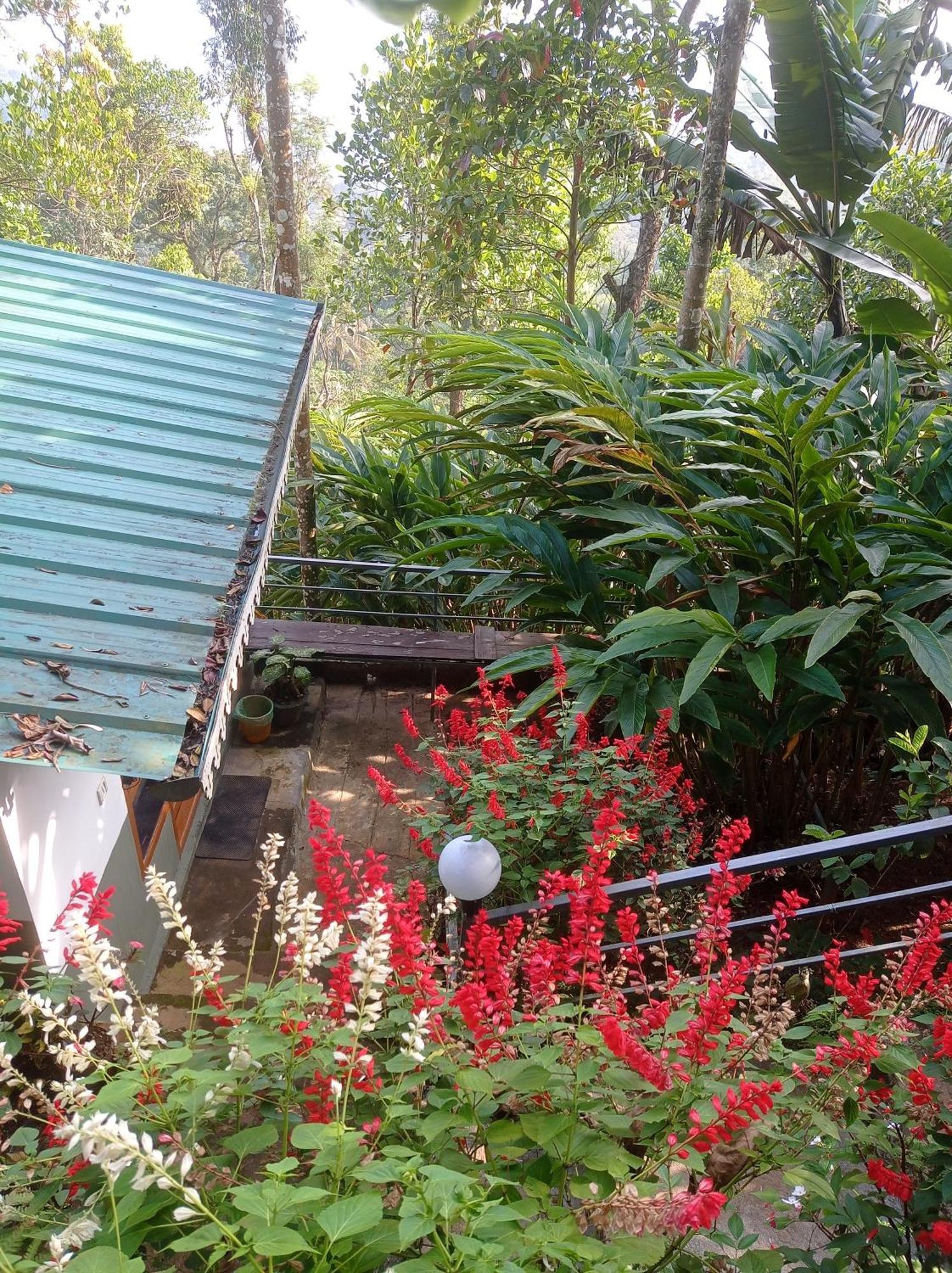 Munnar Home Stay Teadrops Plantation Villa Dış mekan fotoğraf