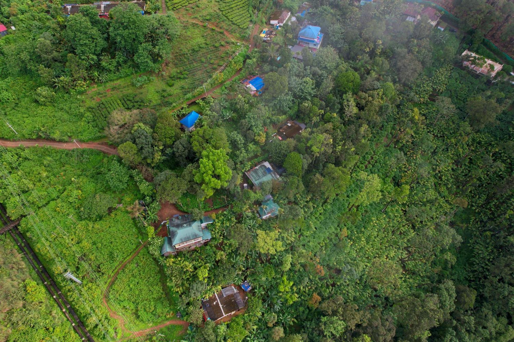 Munnar Home Stay Teadrops Plantation Villa Dış mekan fotoğraf